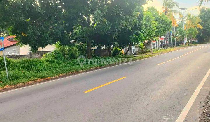 Tanah 1 Hektar Jl Seririt Singaraja Gerokgak Buleleng Bali 1