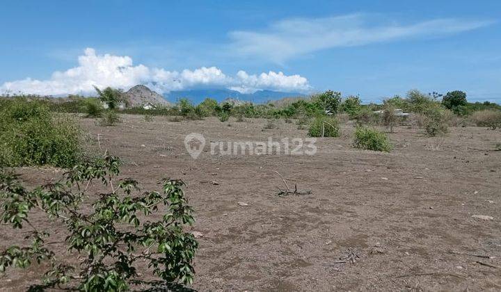 Dijual Tanah di Sumbawa Barat Dkt Pelabuhan Poto Tano Ntb 2