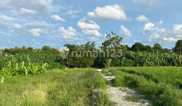 For Rent Land Area Banjar Semer Kerobokan North Kuta Badung Bali