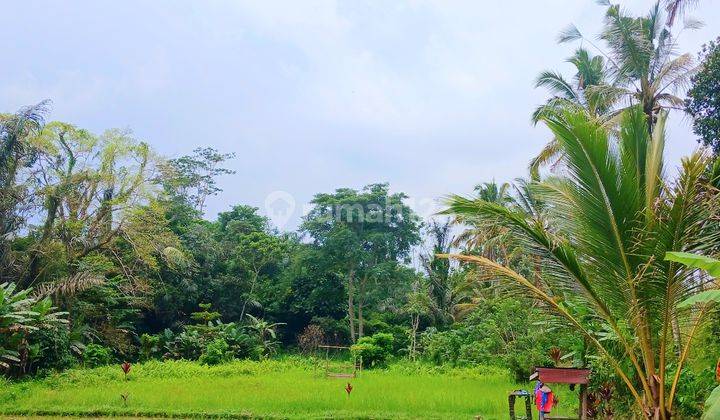 Tanah di Pupuan dkt Tegallalang Gianyar Bali 2