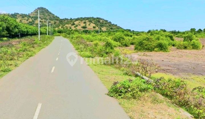 Tanah 5,5 Hektar Los Pantai Jl Tano Kertasari Sumbawa Barat