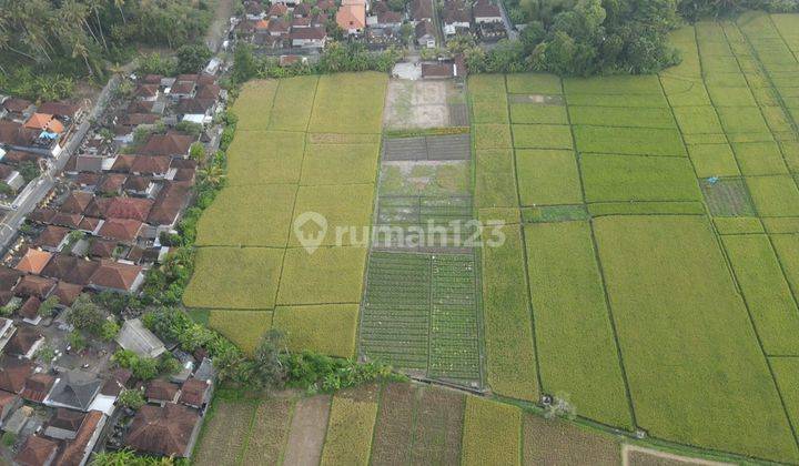 Dijual Tanah View Sawah Dkt Pantai Kelating Tabanan Bali 1