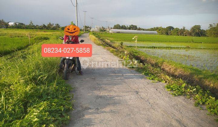 Land for sale 1900m2 Dkt Beach Kedungu Belalang Tabanan  1