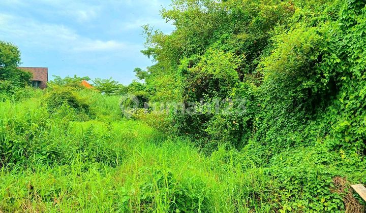 Dijual Tanah 1520 M2 Area Gatsu Barat Dktjl Cargo, Buluh Indah Dijual Tanah 1520 M2 Area Gatsu Barat Dktjl Cargo, Buluh Indah