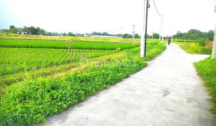 Dijual Tanah 1900 M2 Dkt Pantai Kedungu Belalang Tabanan Bali 1