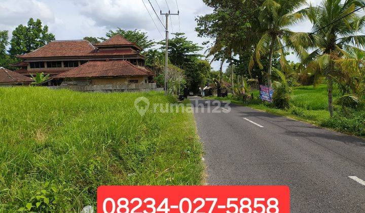 Land for rent in Kaba Kaba Tabanan Dkt Seseh, Bali 1