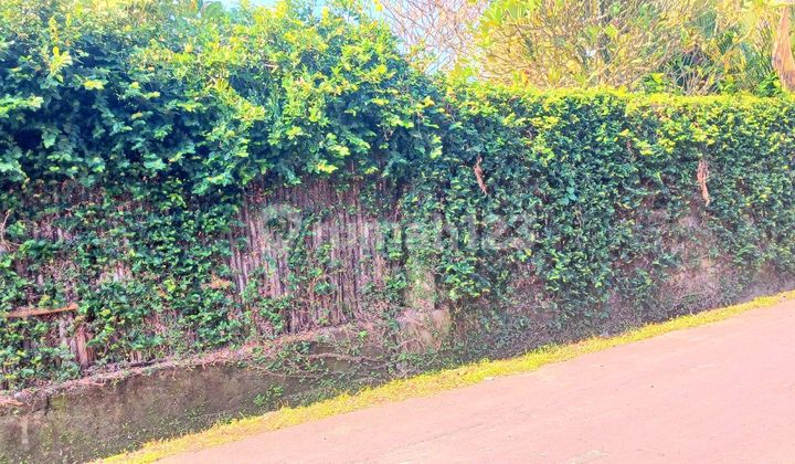 Tanah Di Umalas Kerobokan Zona Pariwisata Dkt Seminyak,batu Belig