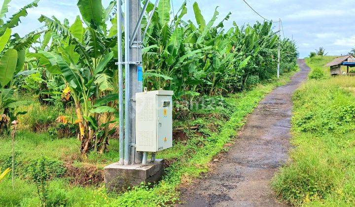 Tanah View Sawah di Selemadeg Tabanan Bali 2