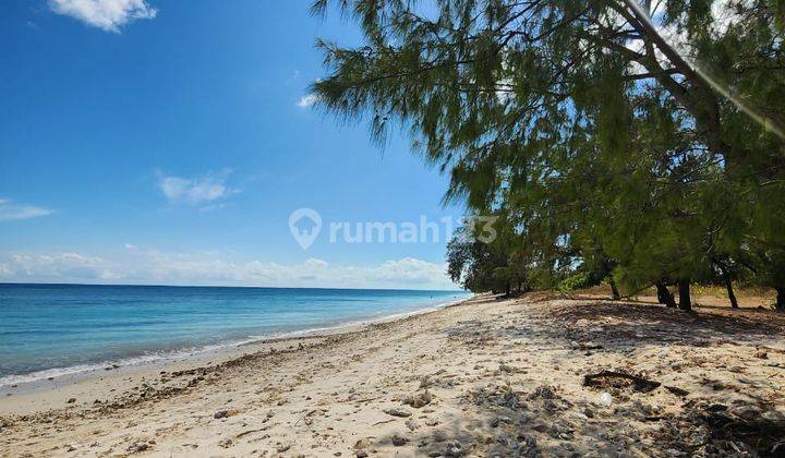 Tanah los pantai Sumba Timur Hamba Praing Kanatang Nusa Tenggara Timur 1
