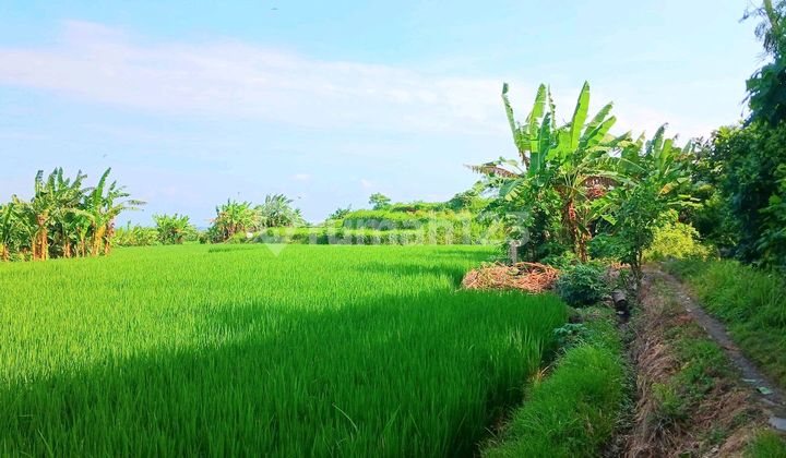 Tanah View Laut Jl Pantai Purnama Gianyar Bali  2