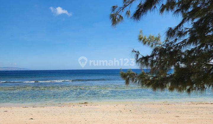 Tanah los pantai Sumba Timur Hamba Praing Kanatang Nusa Tenggara Timur 2