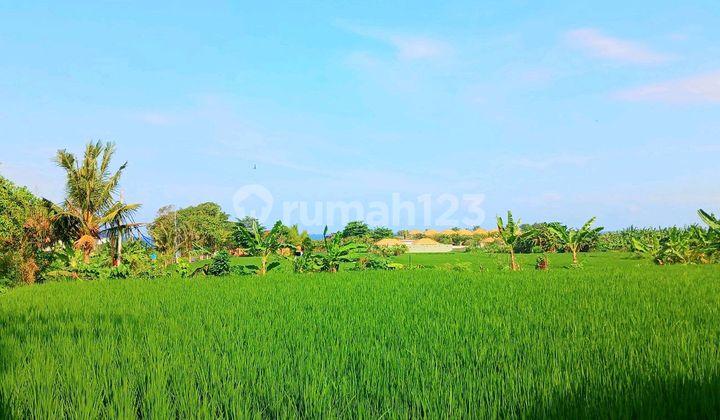 Tanah View Laut Jl Pantai Purnama Gianyar Bali  1