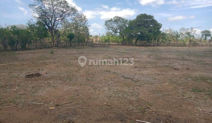 Dijual Tanah Di Sumbawa Dkt Pusat Kota  1