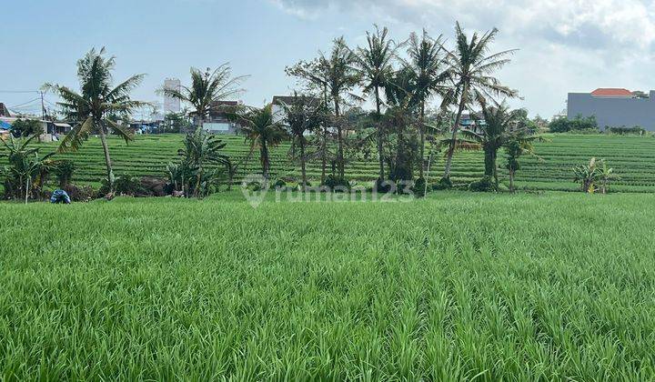 Disewakan Tanah 2200 M2 Dkt Pantai Lima Munggu Badung Bali 1