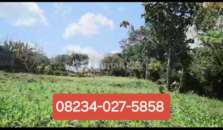 Dijual Tanah di Baturiti Tabanan Bali Dkt Bedugul 2