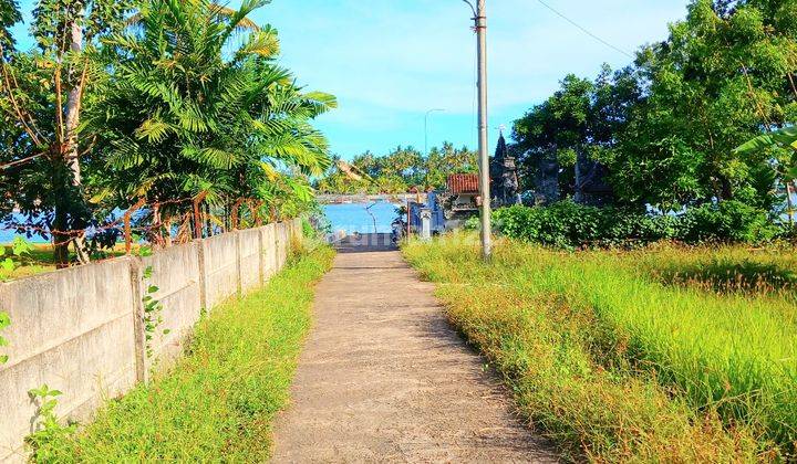 Tanah 2500 M2 Dkt Muara Pantai Pengambengan Negara Jembrana Bali  1