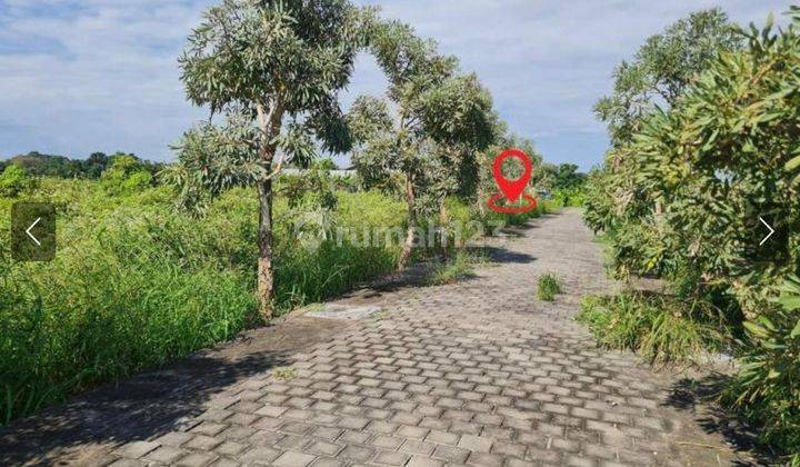 Dijual Tanah di Jl Pantai Kedungu Belalang Tabanan Bali 2