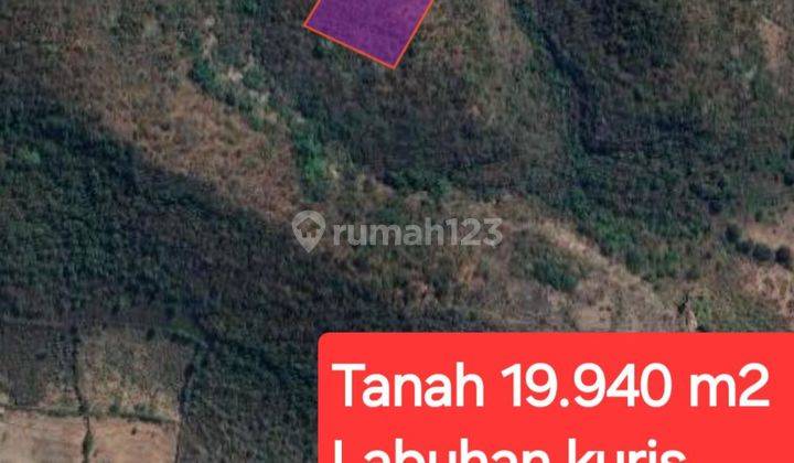 Dijual Tanah 19940 M2 Di Labuhan Kuris Lape Sumbawa  1