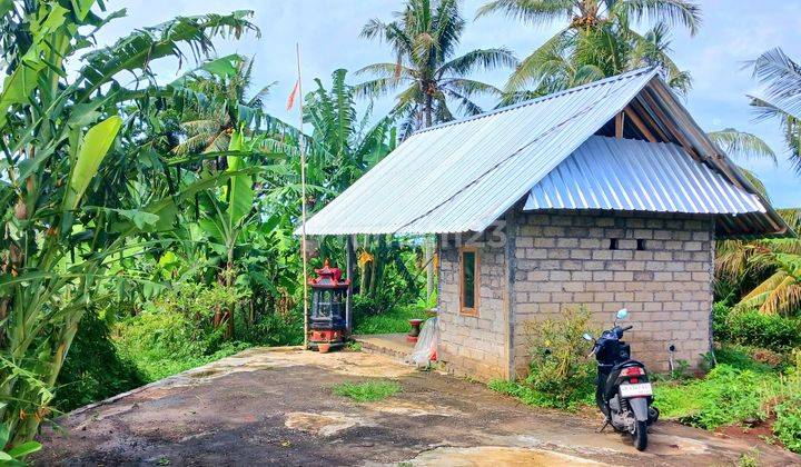 Tanah View Sawah di Selemadeg Tabanan Bali 1