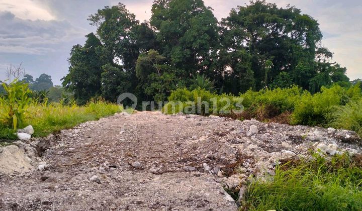 Dijual Tanah 2825 M2 Area Nyambu Kaba-kaba Kediri Tabanan Bali 