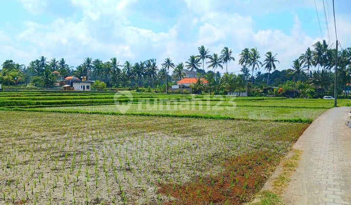 For Rent House In Tegalalang Ubud Gianyar Bali