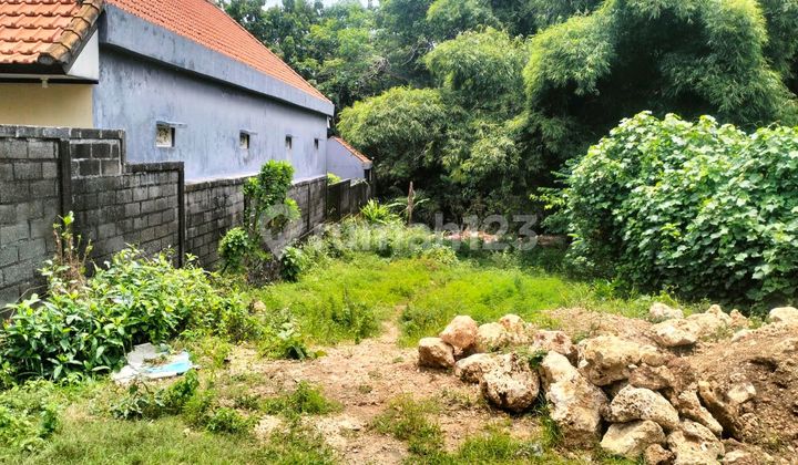 Tanah Sawangan Benoa Nusa Dua Dkt Apurva Kempinski,Mulia,Hilton Tanah Sawangan Benoa Nusa Dua Dkt Apurva Kempinski,Mulia,Hilton