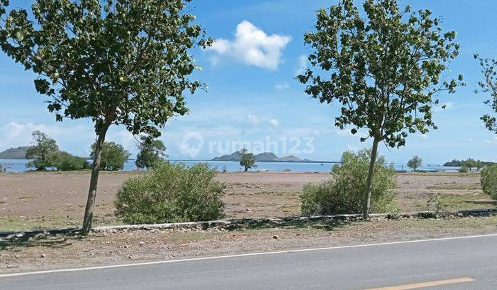 Dijual Tanah di Sumbawa Barat Dkt Pelabuhan Poto Tano Ntb 2