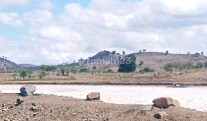 Disewakan Tanah Tambak Di Empang Sumbawa Nusa Tenggara Barat 1