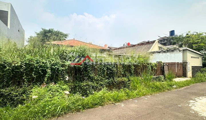 Large Yard House Strategically Located behind Citos