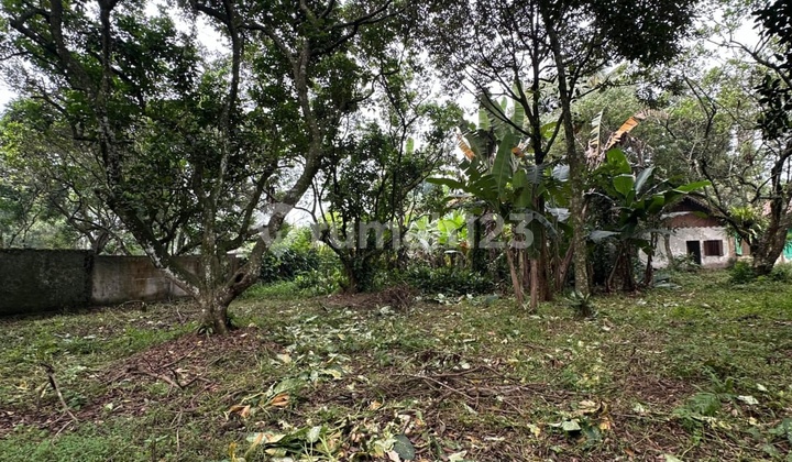 Rumah & Tanah Strategis di Lebak Bulus - Cocok untuk Investasi Komersial 2