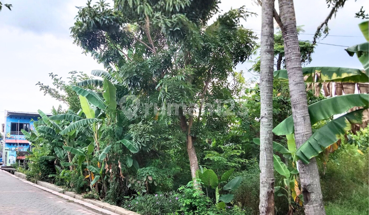 Tanah Kavling Area Permukiman di Purwomukti Semarang 12 Menit dari Tol Gayamsari 1