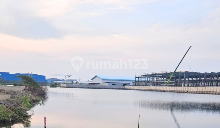 Jual Tanah Luas Sudah Urug Dekat Pelabuhan di Wonorejo Kendal Jual Tanah Luas Sudah Urug Dekat Pelabuhan di Wonorejo Kendal