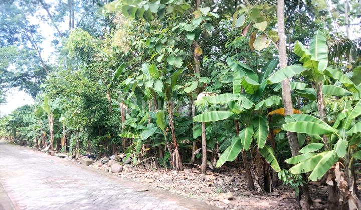 Land for Sale in Square Shape Ready to Build at Taman Tlogomulyo Pedurungan Semarang 1