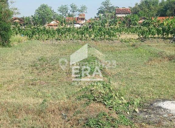 Tanah Sebelah Universitas Muhammadiyah di Krangganharjo Grobogan 2