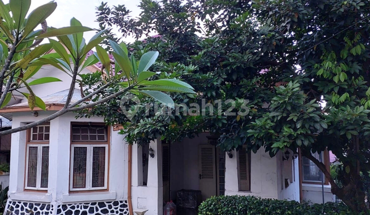 Jual Tanah Bonus Rumah Halaman Luas Rindang di Taman Sompok Semarang 1