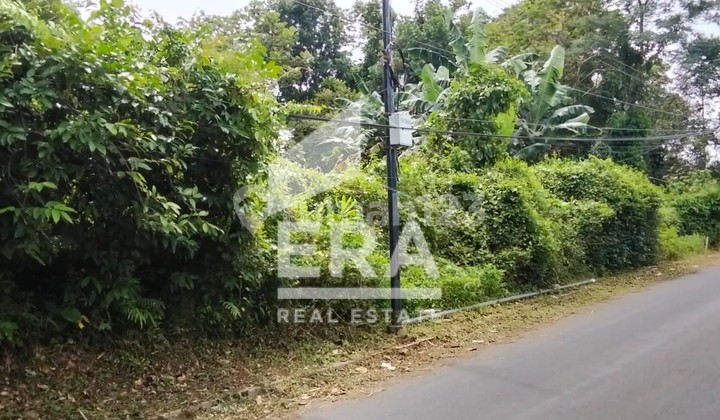 Selling Very Large Land with Water Source in Malon, Gunung Pati, Semarang 2