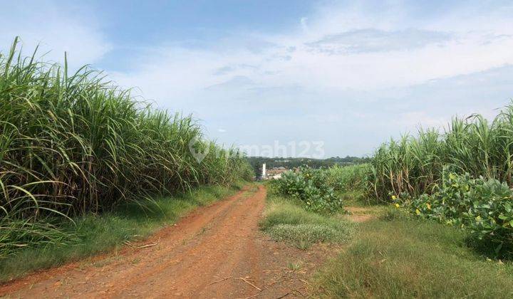 Tanah Murah Siap Bangun Untuk Kawasan Industri Sawangan Batang 2