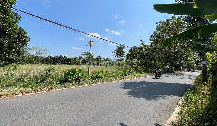 Tanah Luas Mulawarman Cuma 3,7 Jt Per Meter Tembalang Semarang 2