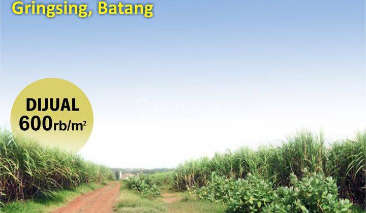Tanah Sawangan Gringsing Batang Dekat KITB Rest Area Gringing 1
