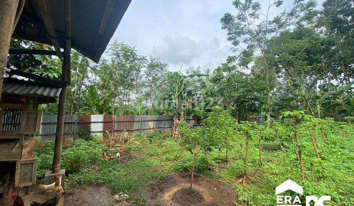 Tanah Tepi Jalan Raya Untung Suropati Kedung Pane Mijen Semarang 2