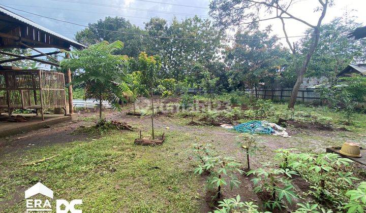 Tanah Tepi Jalan Raya Untung Suropati Kedung Pane Mijen Semarang 4