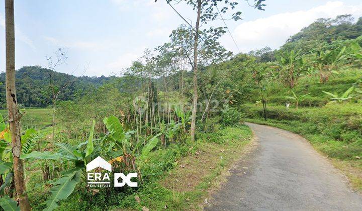 Tanah Cocok Untuk Perkebunan Dekat Wisata Budaya Iriban Kendal 1