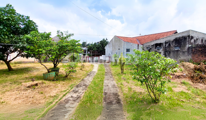 Tanah Bonus Rumah Halaman Luas Dekat Unika di Karangrejo Gajahmungkur 1