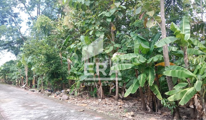 Land for Sale in Square Shape Ready to Build at Taman Tlogomulyo Pedurungan Semarang 2