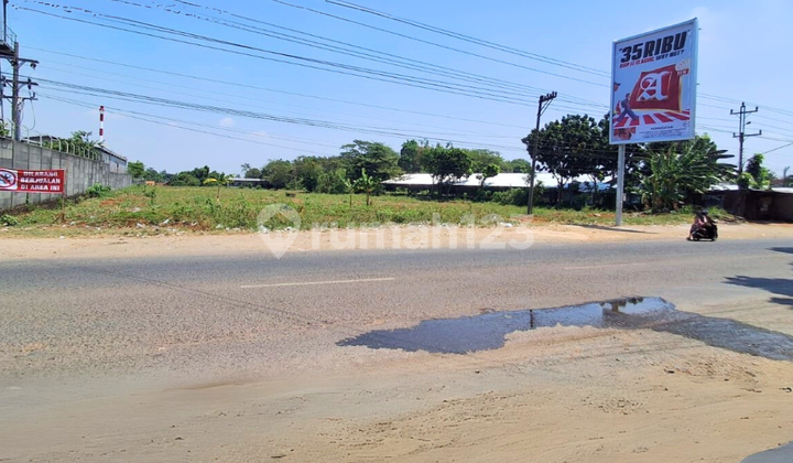 Tanah Kawasan Industri Cocok Untuk Pabrik di Jalan raya Jepara Kudus Mayong Tanah Kawasan Industri Cocok Untuk Pabrik di Jalan raya Jepara Kudus Mayong