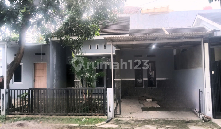 Jual Rumah Murah Cocok untuk Keluarga Muda di Griya Bukit Pesona Mranggen Demak Jual Rumah Murah Cocok untuk Keluarga Muda di Griya Bukit Pesona Mranggen Demak