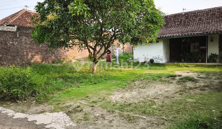 Tanah Ada Rumah Dengan Halaman Luas di Jalan Utama Weleri Kendal