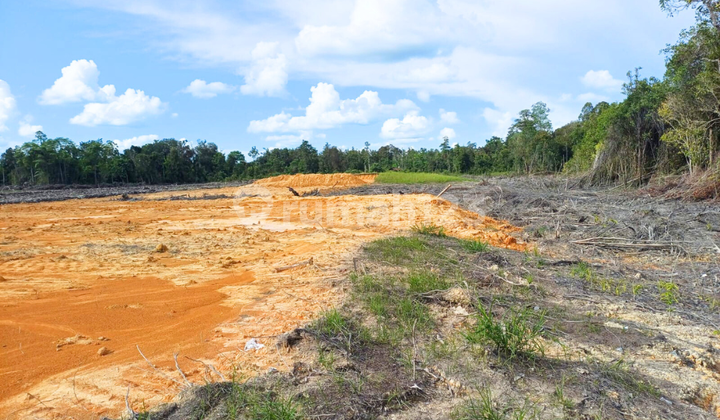 4 Hectares of Land Suitable for Industry in Mensiku Jaya, Sintang, Kalimantan