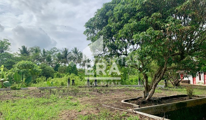 Tanah Ngantong Bisa Untuk Industri Ada Bangunan di Jalan Semarang-Yogyakarta Magelang
