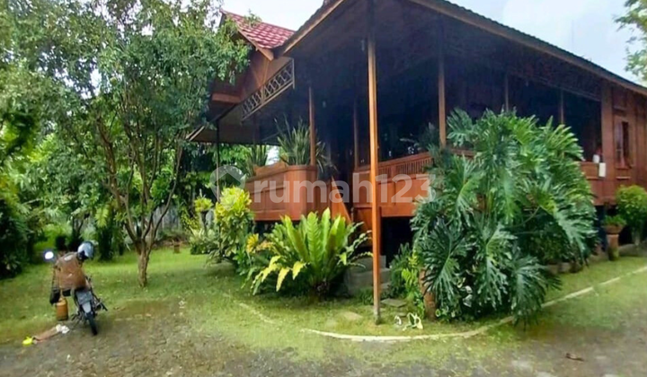 Unik! Rumah Panggung Kayu dan Tanah Pekarangan Luas Hanya 2 jt an/m2 di Dusun Maron Sleman 1